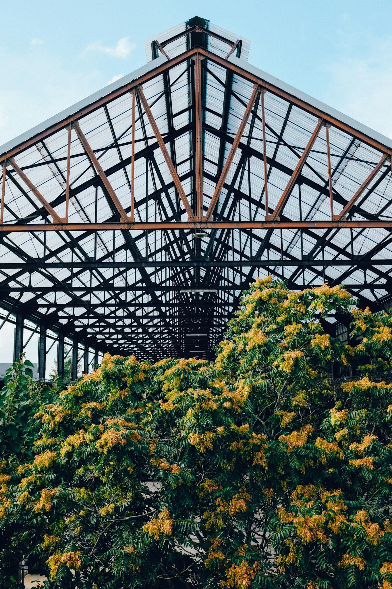 A striking view of contemporary greenhouse architecture framed by vibrant foliage and clear skies.
