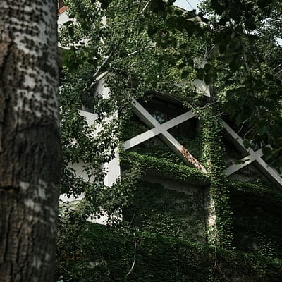 A building facade covered with lush green ivy, blending nature and urban design.