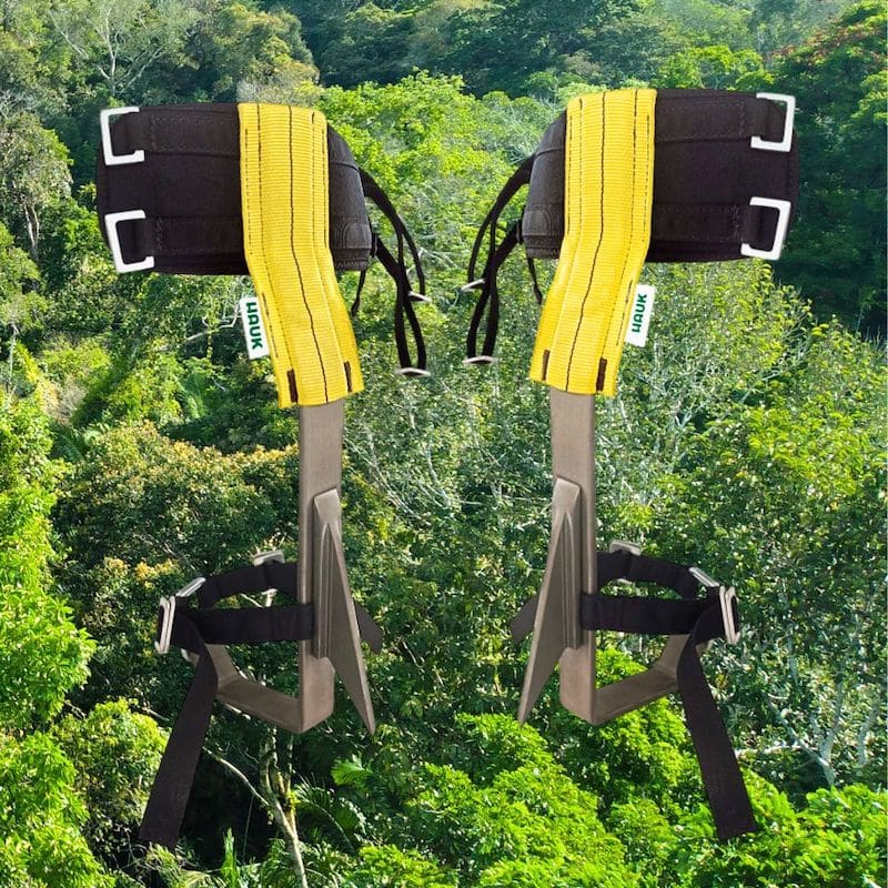 Espuelas para trepa de árboles par Hauk con fondo de bosque tropical